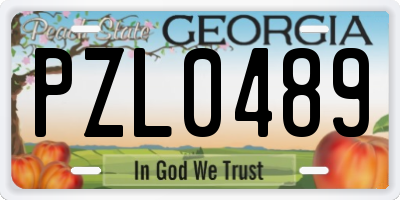 GA license plate PZL0489