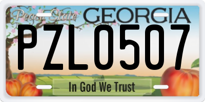 GA license plate PZL0507