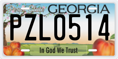 GA license plate PZL0514