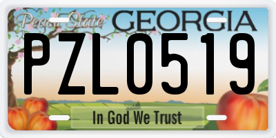 GA license plate PZL0519