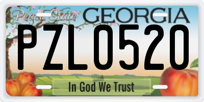 GA license plate PZL0520