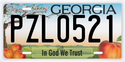 GA license plate PZL0521