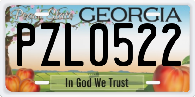 GA license plate PZL0522
