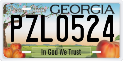 GA license plate PZL0524