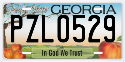 GA license plate PZL0529