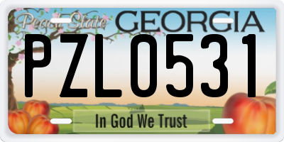 GA license plate PZL0531