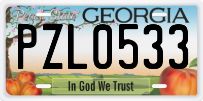 GA license plate PZL0533