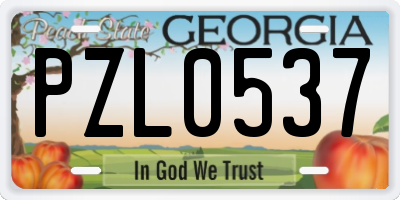 GA license plate PZL0537