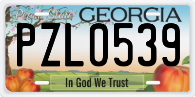 GA license plate PZL0539