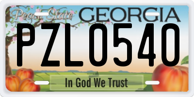 GA license plate PZL0540