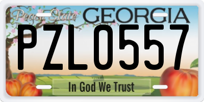 GA license plate PZL0557