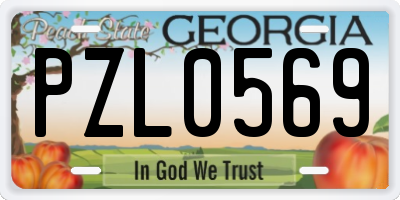 GA license plate PZL0569