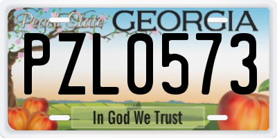 GA license plate PZL0573