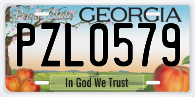 GA license plate PZL0579