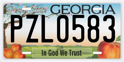 GA license plate PZL0583