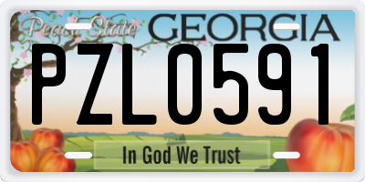 GA license plate PZL0591
