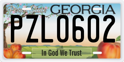 GA license plate PZL0602