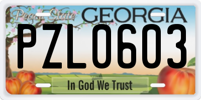 GA license plate PZL0603