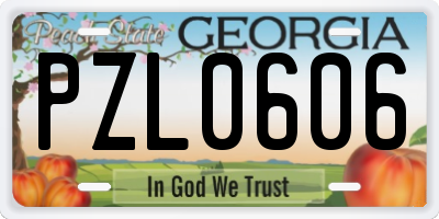 GA license plate PZL0606