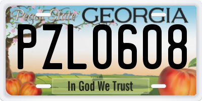 GA license plate PZL0608