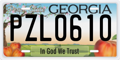 GA license plate PZL0610