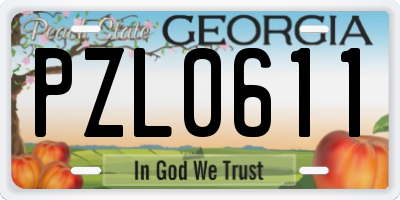 GA license plate PZL0611