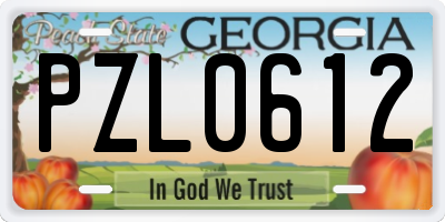 GA license plate PZL0612