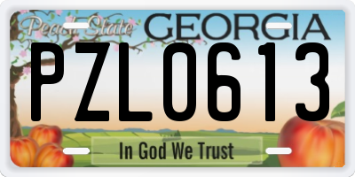GA license plate PZL0613