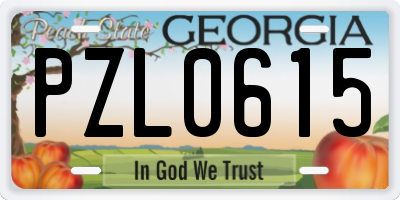 GA license plate PZL0615