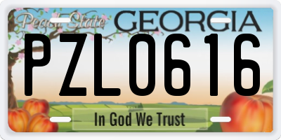 GA license plate PZL0616