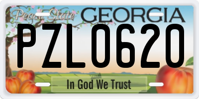 GA license plate PZL0620