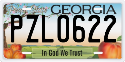 GA license plate PZL0622