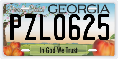GA license plate PZL0625