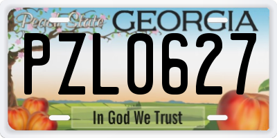 GA license plate PZL0627