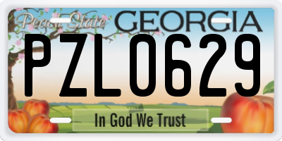 GA license plate PZL0629