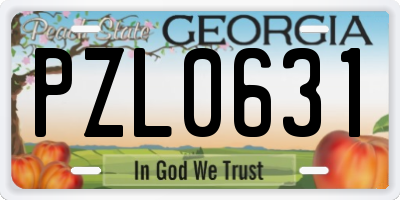 GA license plate PZL0631
