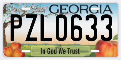GA license plate PZL0633