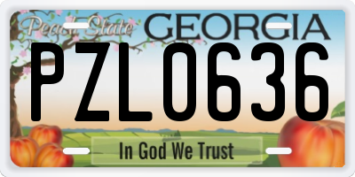 GA license plate PZL0636