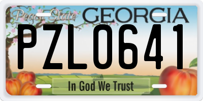 GA license plate PZL0641