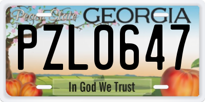 GA license plate PZL0647