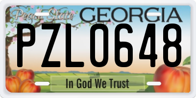 GA license plate PZL0648