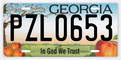 GA license plate PZL0653