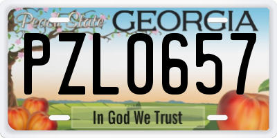 GA license plate PZL0657