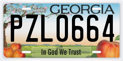 GA license plate PZL0664