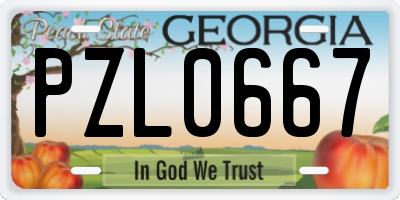 GA license plate PZL0667