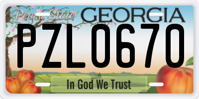 GA license plate PZL0670