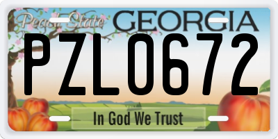 GA license plate PZL0672
