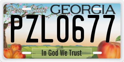 GA license plate PZL0677