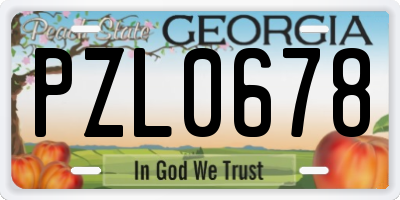 GA license plate PZL0678