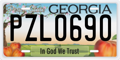 GA license plate PZL0690